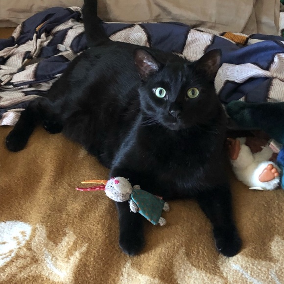 🇨🇦LIMITED TIME SALE 15% OFF REDUCED ITEMS FOR THIS WEEK ONLY, GOD BLESS 🇨🇦 - Picture 4 of 4